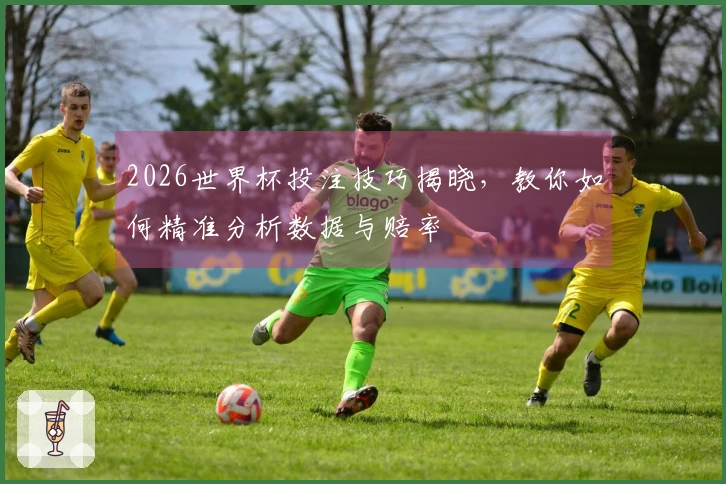 2026世界杯投注技巧揭晓，教你如何精准分析数据与赔率