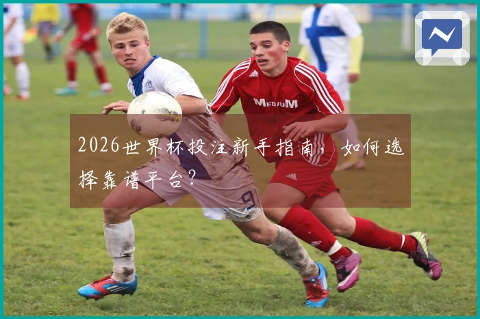 2026世界杯投注新手指南，如何选择靠谱平台？