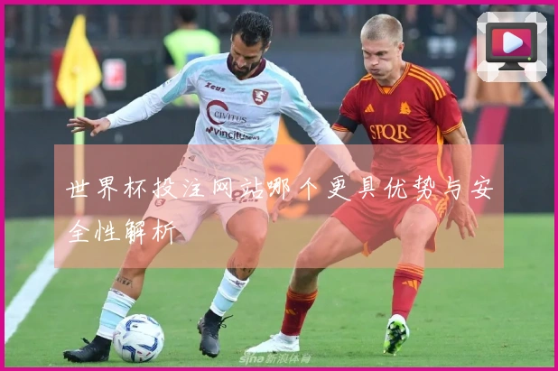 世界杯投注网站哪个更具优势与安全性解析