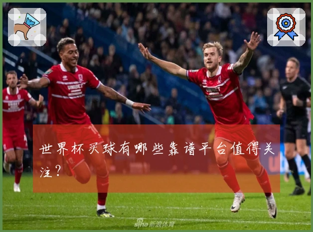 世界杯买球有哪些靠谱平台值得关注？