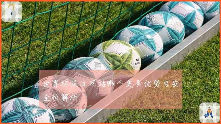世界杯投注网站哪个更具优势与安全性解析