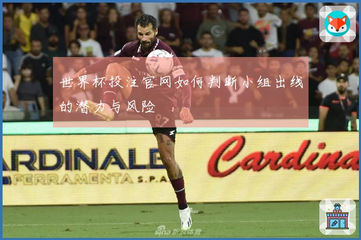 世界杯投注官网如何判断小组出线的潜力与风险