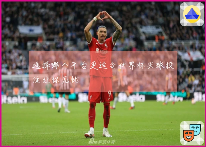 选择哪个平台更适合世界杯买球投注让你无忧