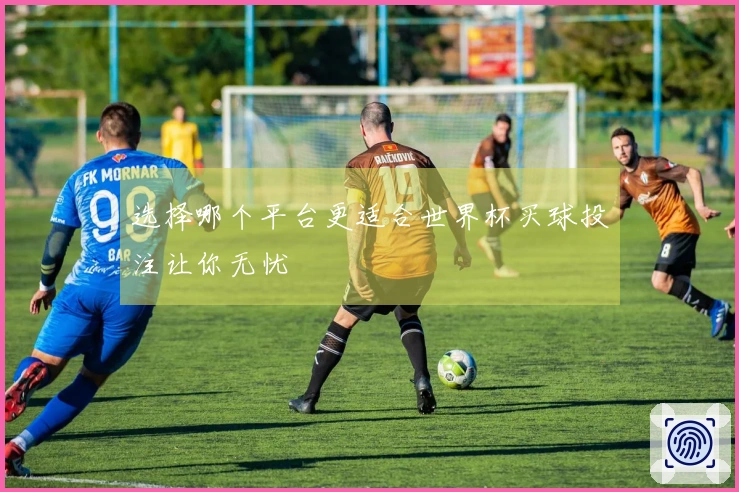 选择哪个平台更适合世界杯买球投注让你无忧