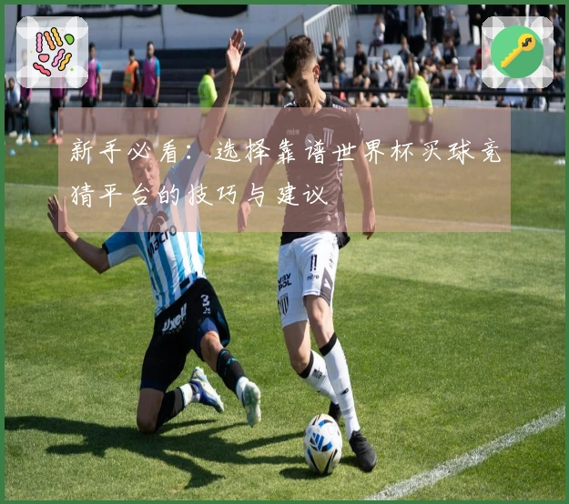 新手必看：选择靠谱世界杯买球竞猜平台的技巧与建议
