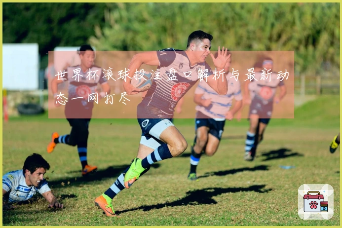 世界杯滚球投注盘口解析与最新动态一网打尽