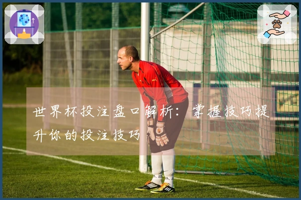 世界杯投注盘口解析：掌握技巧提升你的投注技巧