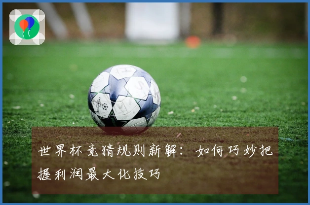 世界杯竞猜规则新解：如何巧妙把握利润最大化技巧