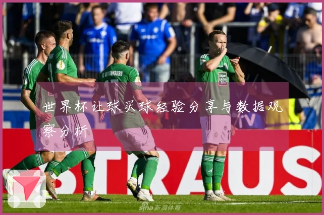 世界杯让球买球经验分享与数据观察分析