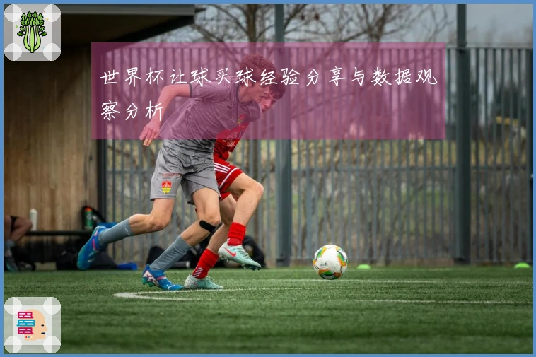 世界杯让球买球经验分享与数据观察分析