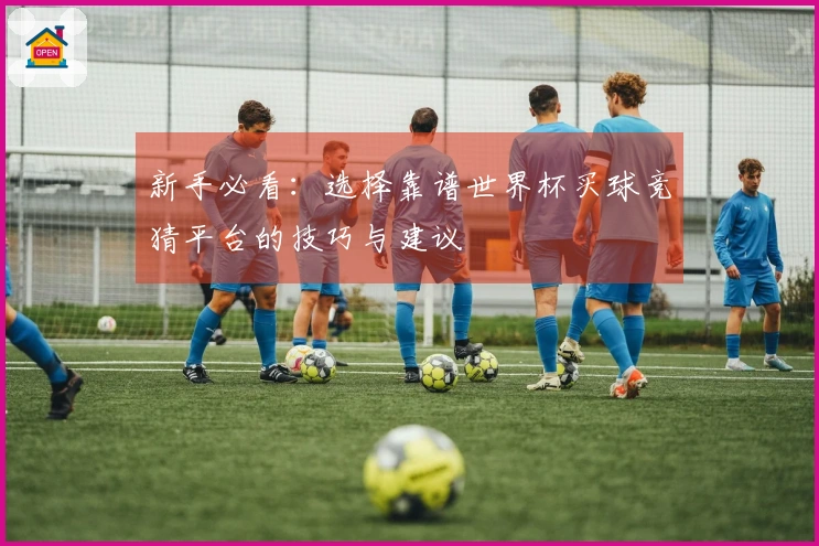 新手必看：选择靠谱世界杯买球竞猜平台的技巧与建议