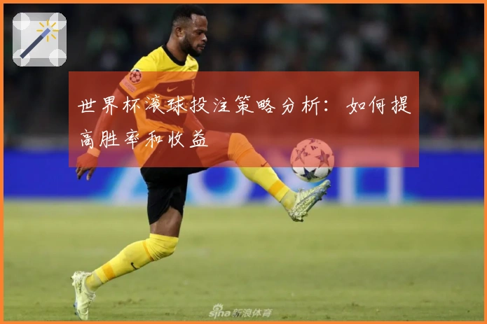 世界杯滚球投注策略分析：如何提高胜率和收益