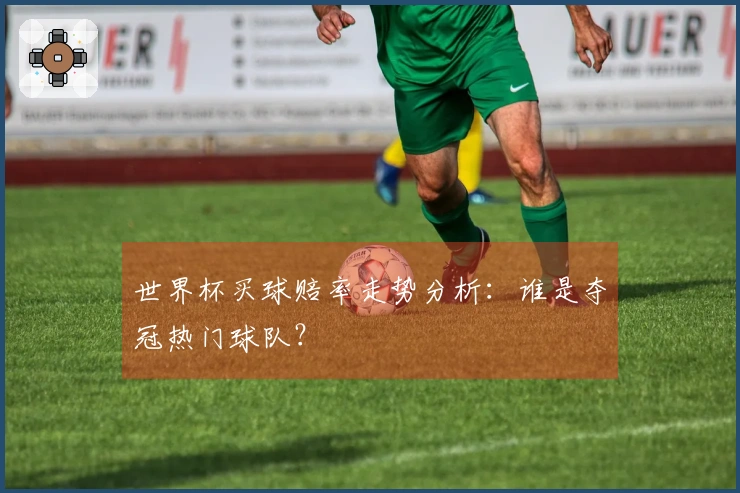 世界杯买球赔率走势分析：谁是夺冠热门球队？