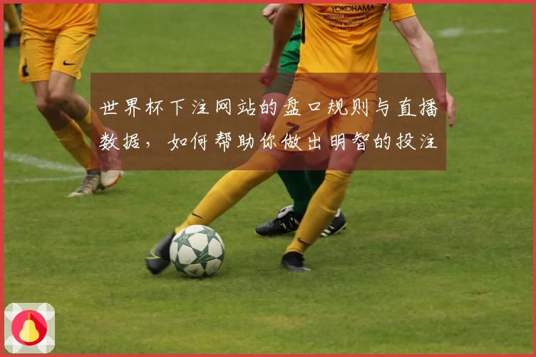世界杯下注网站的盘口规则与直播数据，如何帮助你做出明智的投注决策