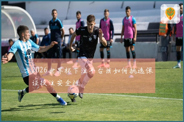 2026世界杯下注平台该如何挑选保证投注安全性