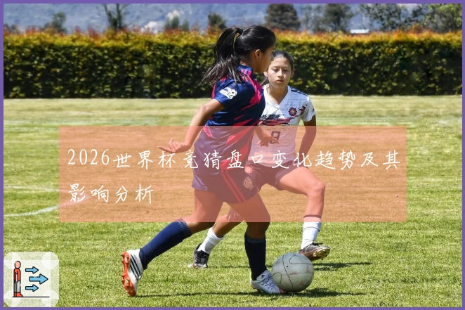 2026世界杯竞猜盘口变化趋势及其影响分析
