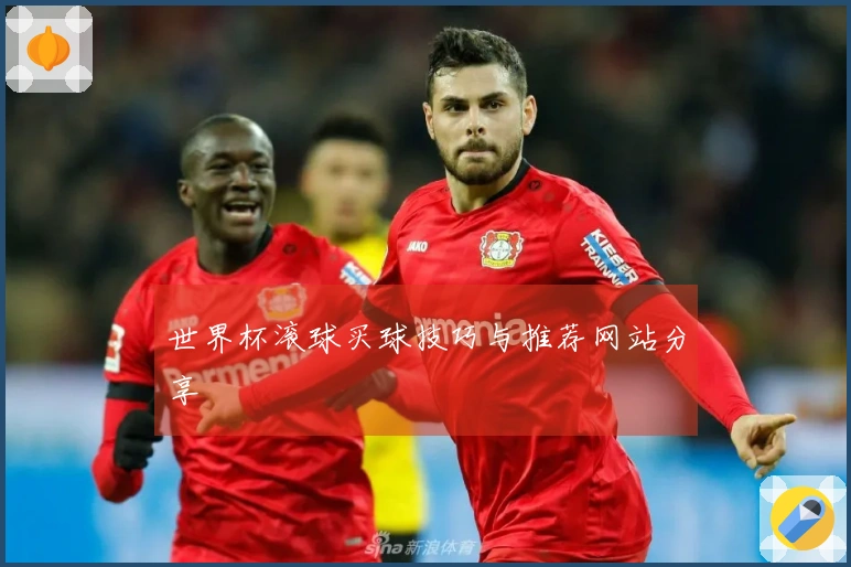 世界杯滚球买球技巧与推荐网站分享